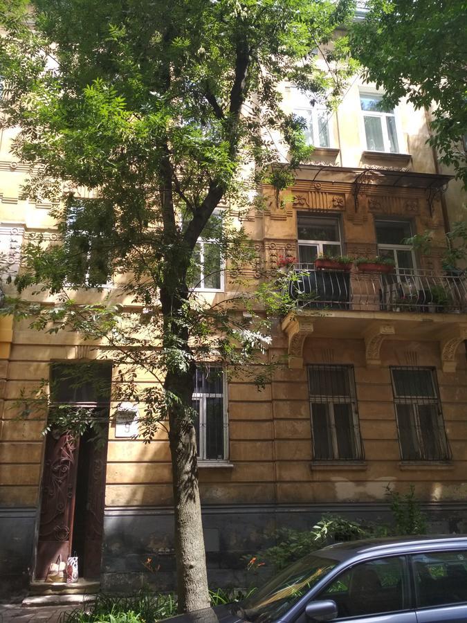 Cosy flat Apartment Лвив Екстериор снимка